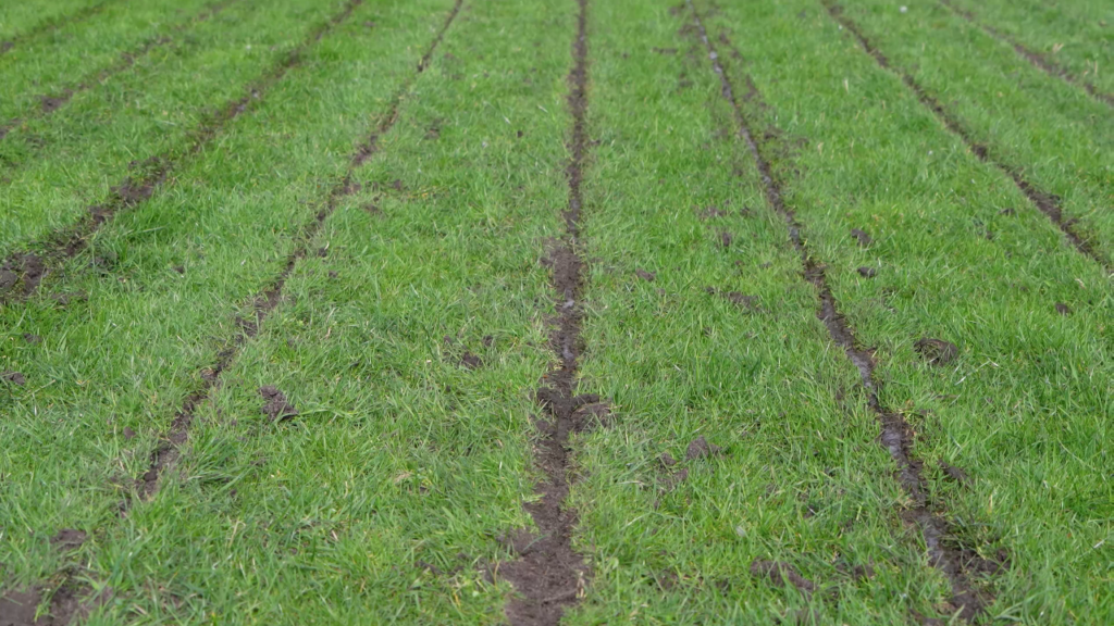 Werkresultaat mestinjecteur Pelgreen
